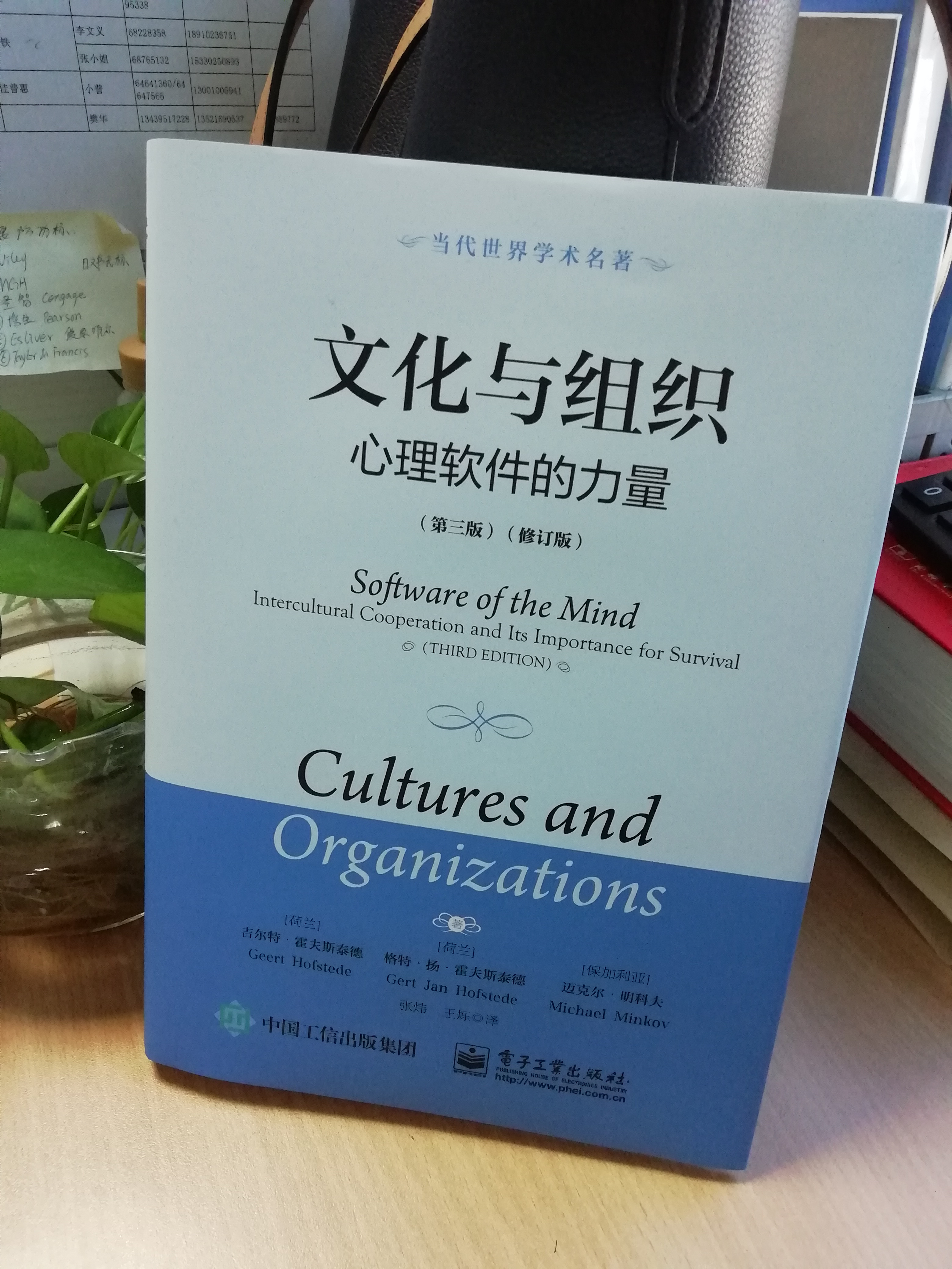 Cultures and Organizations Chinese